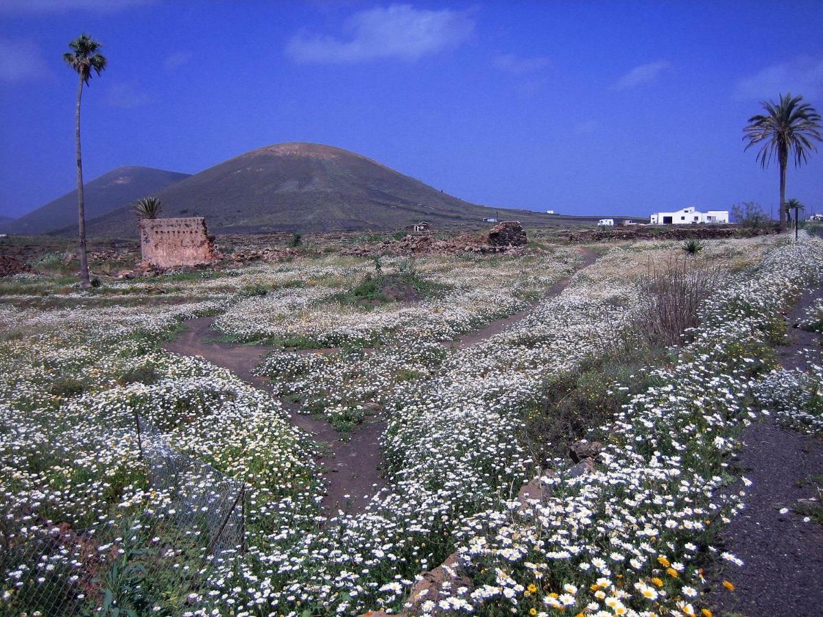Castillo Lanzarote Villa Winni - Luxury Villa - Pet Friendly With Heated Pool La Asomada  Bagian luar foto
