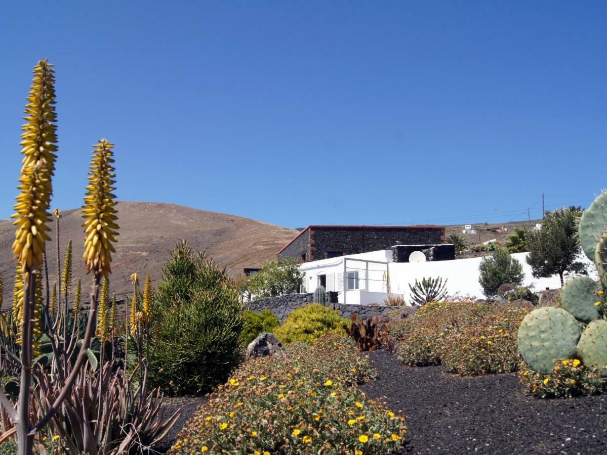 Castillo Lanzarote Villa Winni - Luxury Villa - Pet Friendly With Heated Pool La Asomada  Bagian luar foto