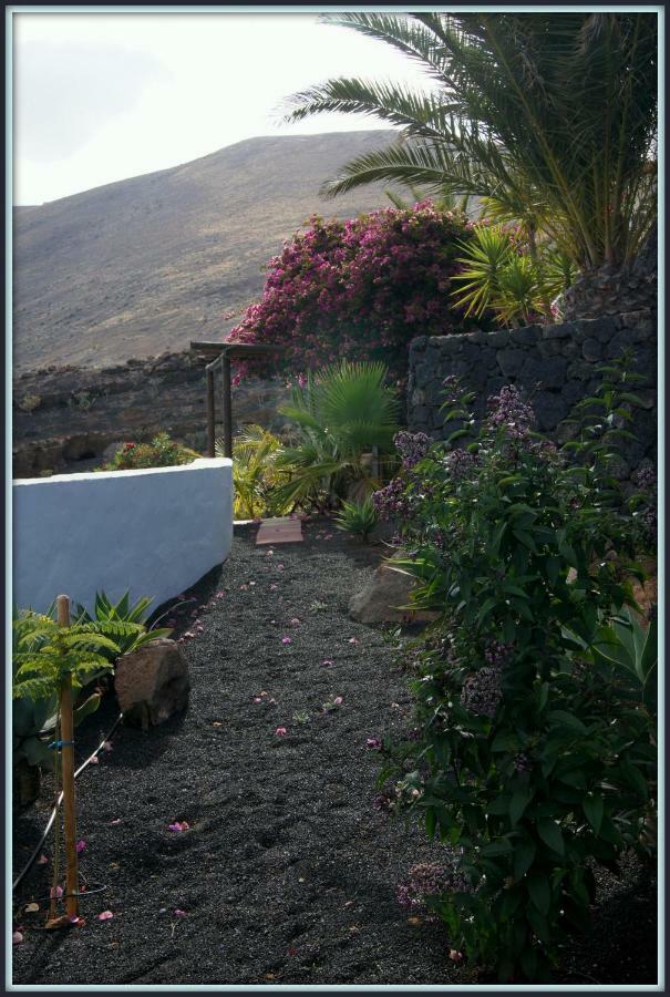 Castillo Lanzarote Villa Winni - Luxury Villa - Pet Friendly With Heated Pool La Asomada  Bagian luar foto