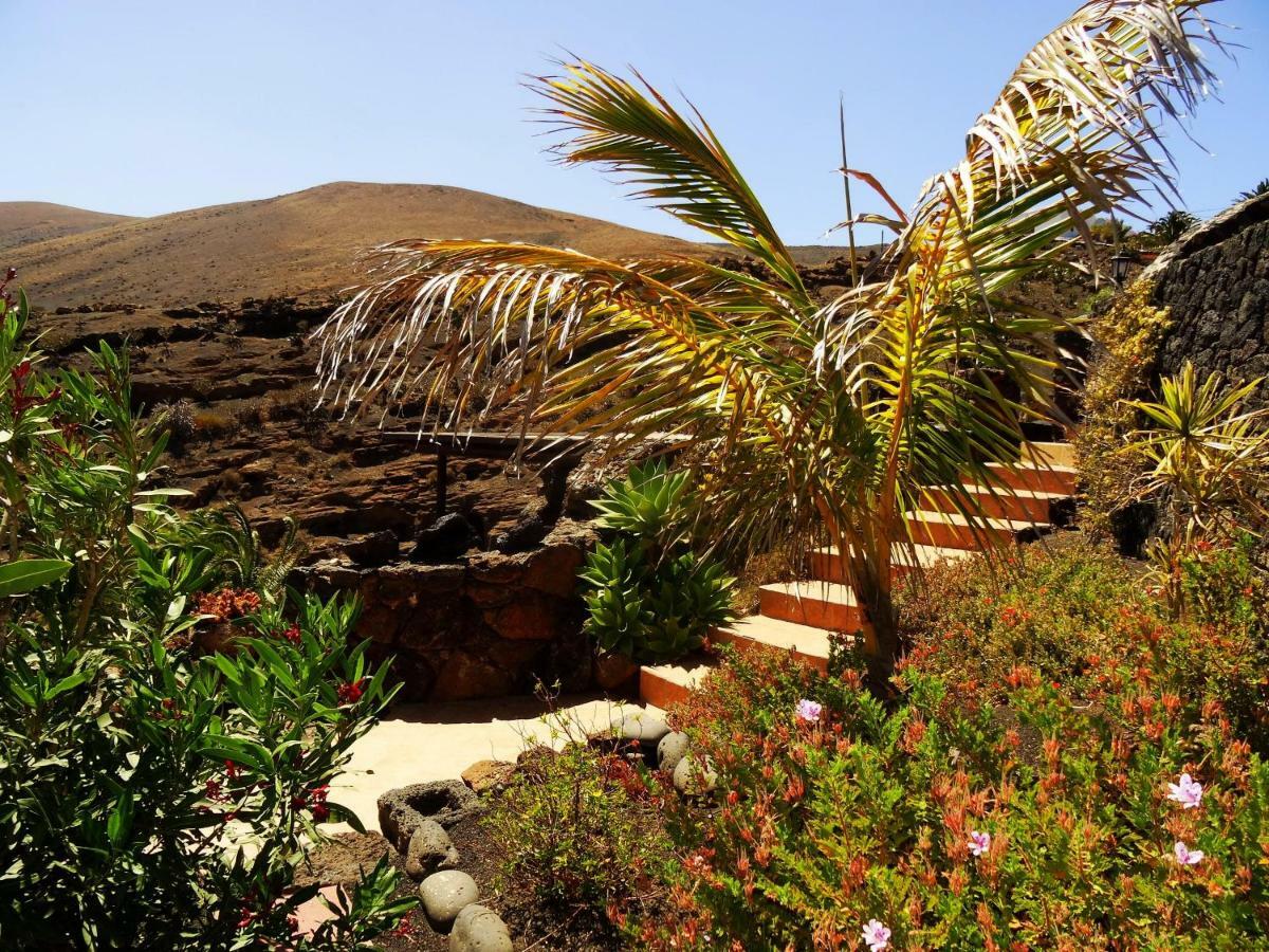 Castillo Lanzarote Villa Winni - Luxury Villa - Pet Friendly With Heated Pool La Asomada  Bagian luar foto
